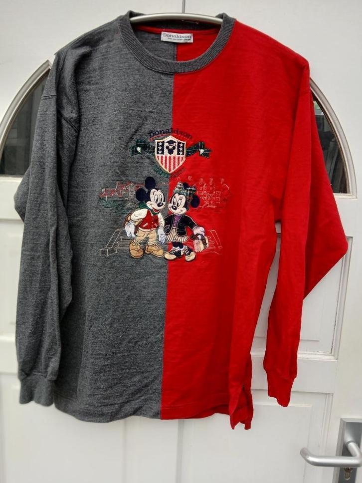 Mooie Donaldson trui maat (ruime) L, Kleding | Dames, Truien en Vesten, Zo goed als nieuw, Maat 42/44 (L), Overige kleuren, Ophalen