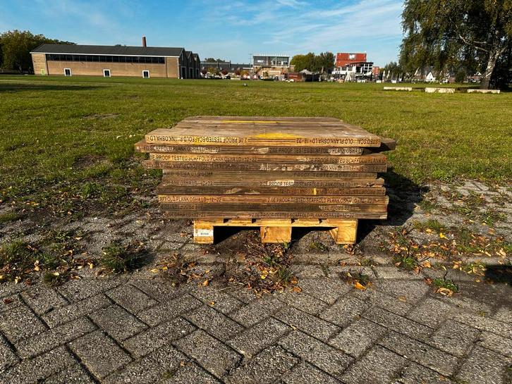 Extra Dikke Steigerplanken LVL - 50 stuks, Doe-het-zelf en Verbouw, Platen en Panelen, Gebruikt, Hout, 20 tot 50 mm, Ophalen