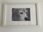 IKEA Fotolijst Wit 24x33cm (9 stuks), Ophalen of Verzenden, Zo goed als nieuw, Hout, Minder dan 50 cm