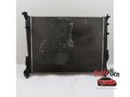 Radiateur van een Renault Twingo, Gebruikt, -, Renault, -