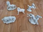 5 paardenbeeldjes wit porselein, Verzamelen, Beelden en Beeldjes, Ophalen, Zo goed als nieuw, Dier
