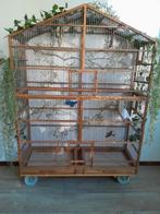 Kooi volière nieuwstaat mssief eikenhout, Dieren en Toebehoren, Ophalen, Zo goed als nieuw, Aluminium, Volière
