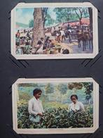 21x ansichtkaarten Nederlands Indië/KPM/jaren '40-'50, Ophalen of Verzenden, 1920 tot 1940, Buiten Europa