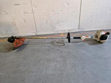 Bosmaaier  beschikbaar voor biedingen