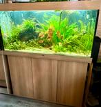 Juwel Rio 350L Aquarium (compleet), Dieren en Toebehoren, Vissen | Aquaria en Toebehoren, Ophalen, Zo goed als nieuw, Gevuld zoetwateraquarium