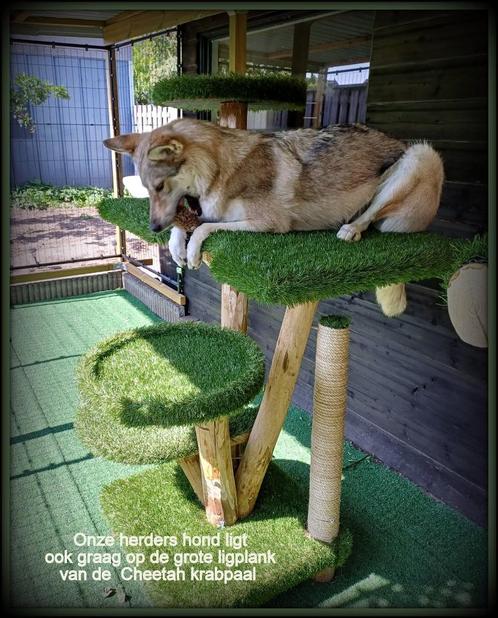 krabpalen van acatscastle  natuurlijk goed, Dieren en Toebehoren, Krabmeubelen, Krabpaal, Ophalen of Verzenden
