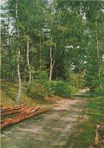 DIEVER Bospad, Verzenden, 1960 tot 1980, Gelopen, Drenthe