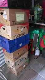 cds, Ophalen, 2000 tot heden, Zo goed als nieuw