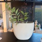 2 x Brynxz beige ovale bloempot potten B46 x H38,5 x D17 cm, Ophalen, Zo goed als nieuw, Overige vormen, Aardewerk