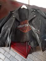 Leren motor jas en Harley davidson leren vest, Ophalen