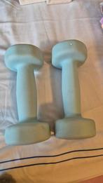Set van 2 Lichtblauwe Dumbbells - 2kg per stuk, Ophalen of Verzenden, Gebruikt, Armen, Dumbbell