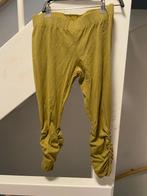 DIDI LEGER GROEN LEGGING, MAAT; M, Legging, Ophalen of Verzenden, Zo goed als nieuw, Groen