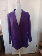 Damesblazer maat l  Eight paris, Ophalen of Verzenden, Zo goed als nieuw