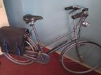zeer mooie raleigh magnum damesfiets, Overige merken, 53 tot 56 cm, Versnellingen, Ophalen of Verzenden