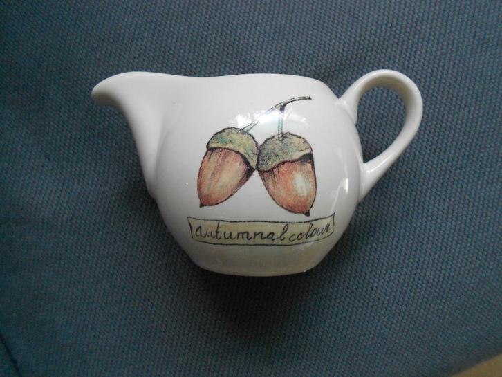 Jet ter Steege melkkannetje herfst autumnal colour, Huis en Inrichting, Keuken | Servies, Gebruikt, Overige typen, Overige stijlen