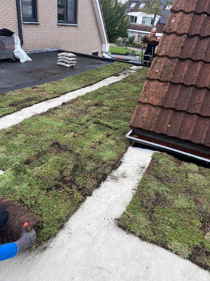 Sedummatten & Groendak - Gegarandeerd de Goedkoopste!, Doe-het-zelf en Verbouw, Dakpannen en Dakbedekking, Nieuw, Overige typen