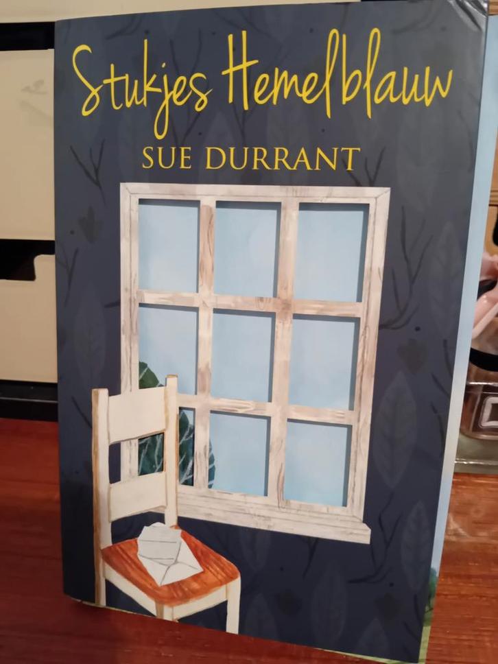 Sue Durrant - Stukjes hemelblauw, Boeken, Kinderboeken | Jeugd | 10 tot 12 jaar, Zo goed als nieuw, Verzenden