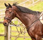 Harry’s horse borstuig nieuw rosegold bruin of zwart, Verzenden, Nieuw