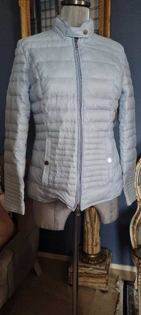 dames winter dons jack maat 36/38  Ashley Brooke licht blauw, Nieuw, Ophalen of Verzenden, Ashley Brooke, Roze