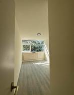 Dames studente kamer te huur!