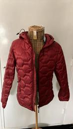 Jack Bjorn Borg mt S, capuchon, zakken met rits, bordeaux, Verzenden, Nieuw, Bjorn Borg, Maat 36 (S)