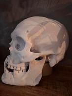 3D geprint, Ophalen of Verzenden, Nieuw