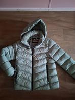 Superdry winterjas, Verzenden, Zo goed als nieuw, Maat 38/40 (M), Groen