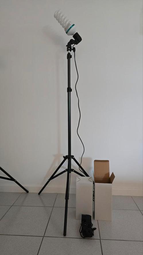 Twee daglichtlampen voor fotostudio, Audio, Tv en Foto, Fotografie | Fotostudio en Toebehoren, Zo goed als nieuw, Ophalen