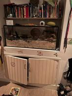 Terrarium voor hamster, Dieren en Toebehoren, Knaagdieren en Konijnen | Hokken en Kooien, Zo goed als nieuw, Ophalen, Minder dan 60 cm