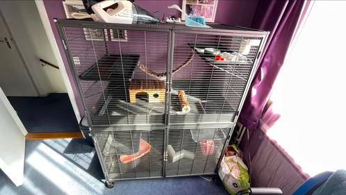 Knaagdierkooi Suite Royal XL - L 115 x B 67,5 x H 153 cm, Dieren en Toebehoren, Knaagdieren en Konijnen | Hokken en Kooien, Gebruikt