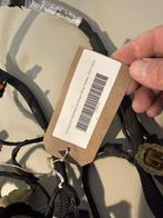 Kabelboom voor Ducati panigale V4 S-motor van 2019 - 5101C38, Motoren, Ophalen of Verzenden, Zo goed als nieuw, Nvt, Nvt
