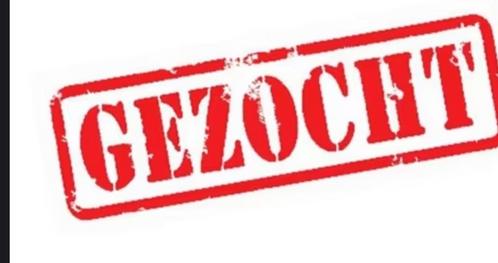 Stalling gezocht voor een brave kwpn ruin van 5 jaar!, Dieren en Toebehoren, Stalling en Weidegang, Stalling