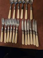 18-delige Bestekset met Ivoorlook Handvatten, Ophalen of Verzenden