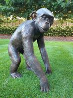 Chimpansee in brons laatste stuk 1300 ipv 2287 euro!!!!!!!, Ophalen of Verzenden, Nieuw, Overige materialen, Dierenbeeld