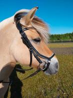 Fjord, merrie, 13 jr, Dieren en Toebehoren, Pony's, Merrie, Recreatiepony, 3 tot 6 jaar