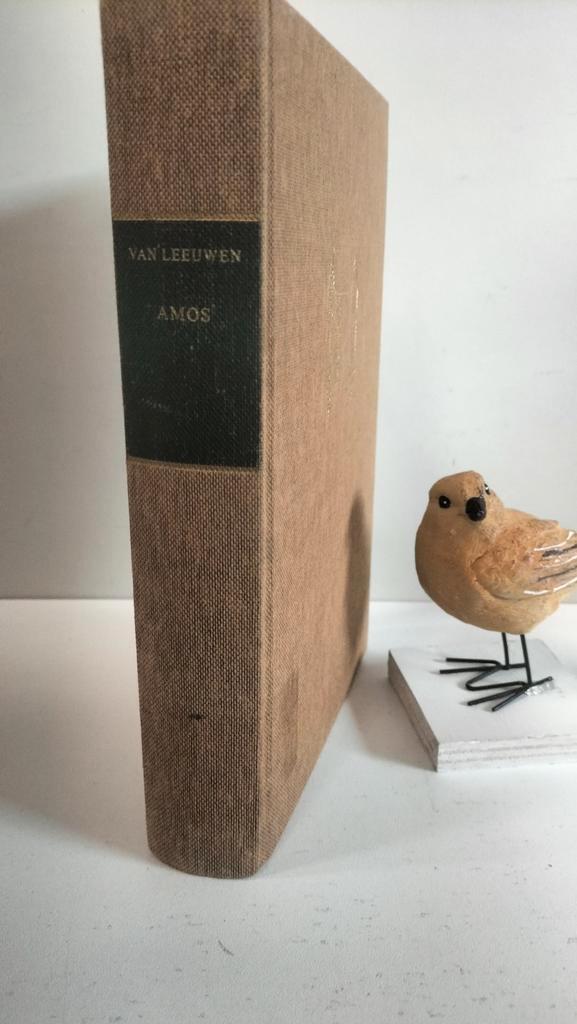 Leeuwen, Dr. C. van; Amos (De prediking van het OT), Boeken, Godsdienst en Theologie, Gelezen, Christendom | Protestants, Ophalen of Verzenden