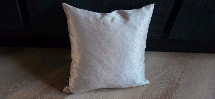 Sjiek kussen hoezen 2x champagne kleurig 3535 cm, Huis en Inrichting, Woonaccessoires | Kussens, Zo goed als nieuw, Beige, Vierkant