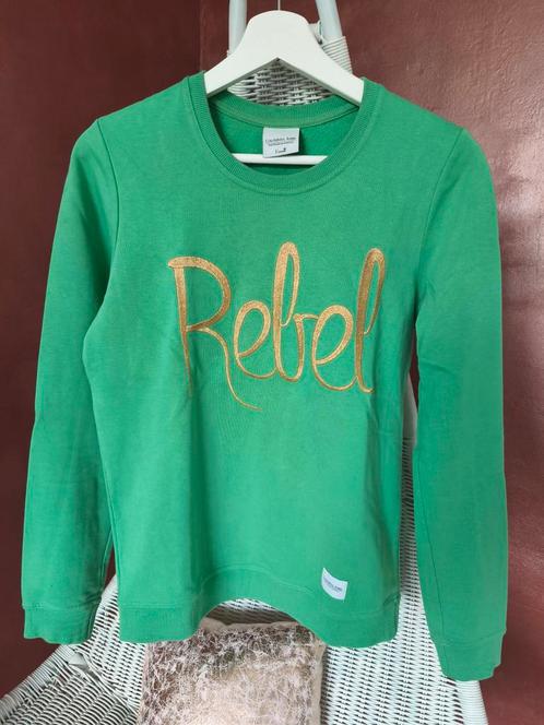 Colourful Rebel - Sweater trui groen - mt xs, Kleding | Dames, Truien en Vesten, Zo goed als nieuw, Maat 34 (XS) of kleiner, Groen