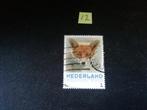 NEDERLAND PERSOONLIJKE POSTZEGEL VOS GESTEMPELD, Postzegels en Munten, Postzegels | Nederland, Ophalen of Verzenden, Na 1940, Gestempeld