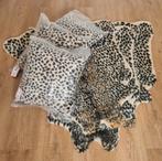 Villa volance kleedjes en kussens, Ophalen, Nieuw, Overige kleuren, Vierkant