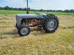 mf 35 goudbuik, Ophalen, Oldtimer, Tot 80 Pk, Massey Ferguson