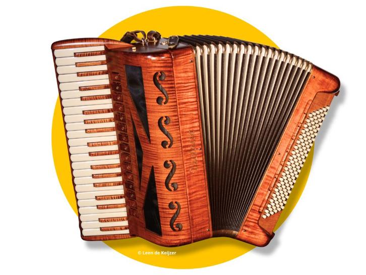Vicotria Poeta A420VP, Muziek en Instrumenten, Accordeons, Zo goed als nieuw, Toetsaccordeon, 120-bas, Overige merken, Met koffer