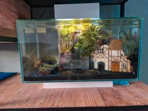 Aquarium || Fluval Edge || Wit || Filter || 23L., Dieren en Toebehoren, Vissen | Aquaria en Toebehoren, Zo goed als nieuw, Verlichting of Verwarming