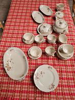 Zeh Scherzer Elite Porseleinen Servies, Ophalen of Verzenden