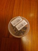 Gedroogde visjes voor bijvoorbeeld waterschildpadden, Dieren en Toebehoren, Dierenvoeding, Ophalen of Verzenden, Reptiel of Amfibie