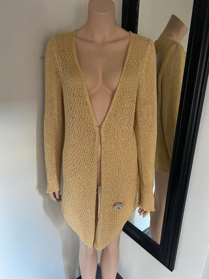 ELISA CAVALETTI  linnen vest  MAAT M   ALS NIEUW, Kleding | Dames, Truien en Vesten, Zo goed als nieuw, Maat 38/40 (M), Ophalen of Verzenden