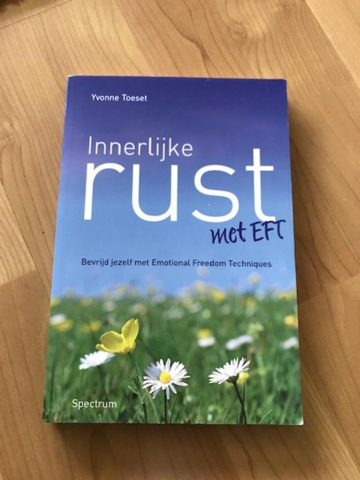 Innerlijke rust met EFT - Yvonne Toeset, Boeken, Esoterie en Spiritualiteit, Gelezen, Ophalen of Verzenden