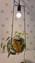 Hanglamp met plantenbak, Verzenden, Nieuw, Metaal, Modern