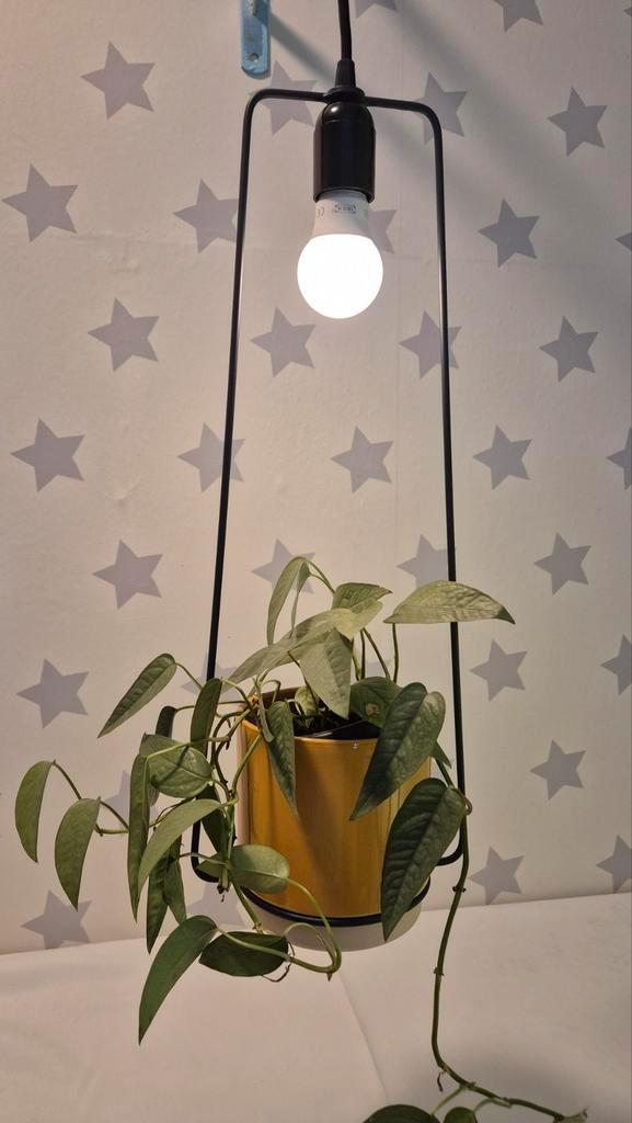 Hanglamp met plantenbak, Huis en Inrichting, Lampen | Hanglampen, Nieuw, Minder dan 50 cm, Metaal, Verzenden