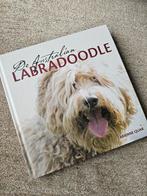 De Australian Labradoodle - Arienne Quak, Ophalen of Verzenden, Zo goed als nieuw, Honden, Arienne Quak